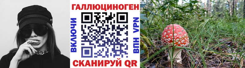 Псилоцибиновые грибы прущие грибы  Купить где  Семилуки 
